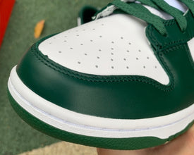 Dunk low Dark Green